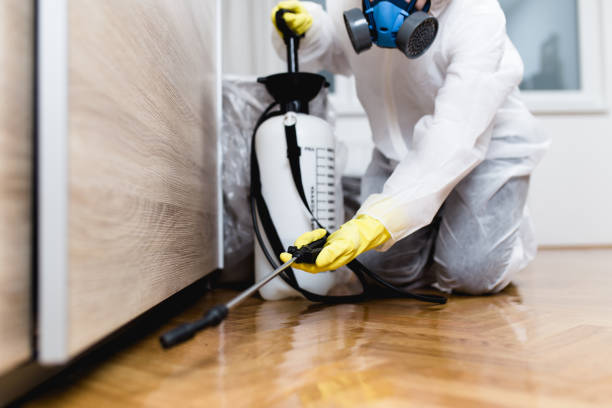 Best Pest Removal Services  in Lake Catherine, IL