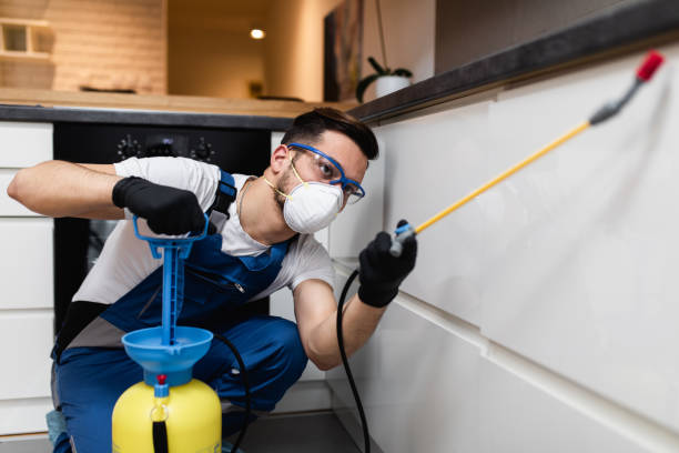 Best Local Pest Control Services  in Lake Catherine, IL