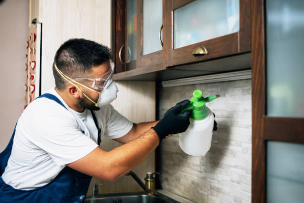 Best Wildlife Control Services  in Lake Catherine, IL