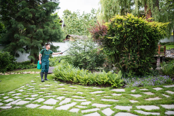 Best Best Pest Control Companies  in Lake Catherine, IL