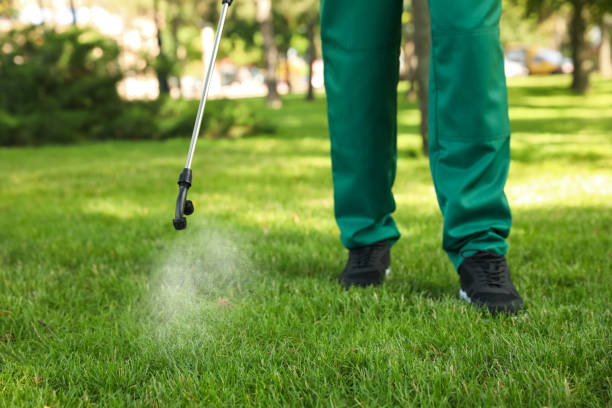 Best Mosquito Control Services  in Lake Catherine, IL