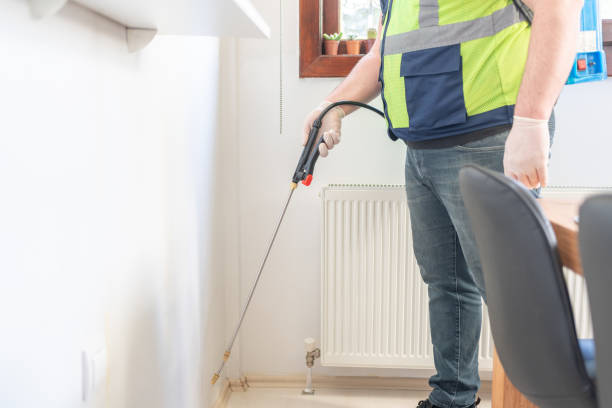 Wasp Removal Services in Lake Catherine, IL