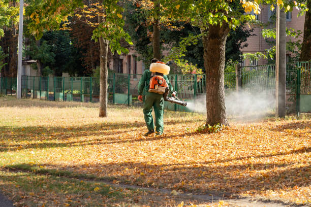 Best Wildlife Control Services  in Lake Catherine, IL