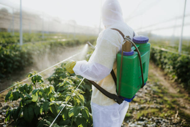 Best Pest Prevention Services  in Lake Catherine, IL